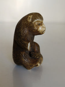 Netsuke singe en noix sculptée, manque une patte, vers 1900 .
