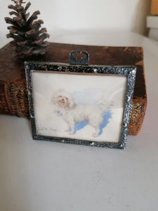 Portait miniature de Maurice le chien , peint À la main avec cadre en argent 1930.
