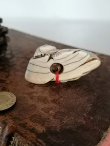 Netsuke ancien XIXème Japon belle patine