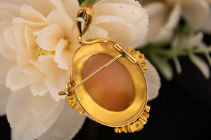 Camé ancien avec monture or massif , pendentif et broche en même temps . Travail fin XIX en parfait état.