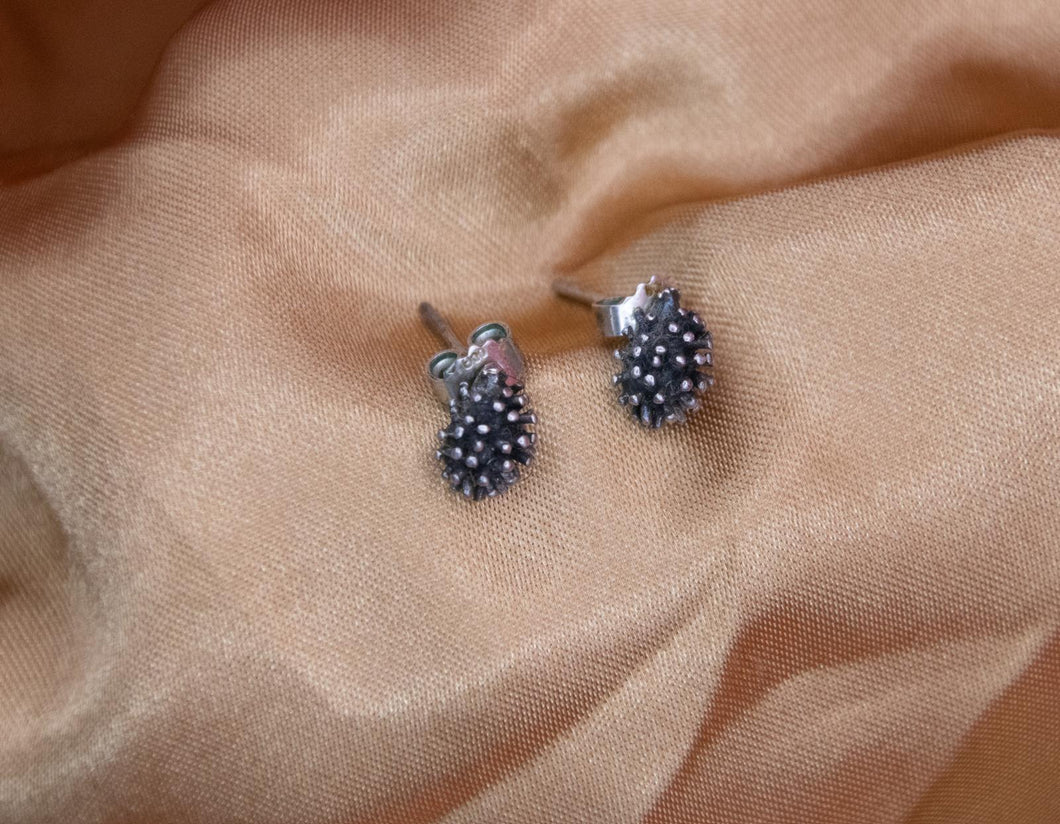 Paire de clou d'oreille argent massif.
