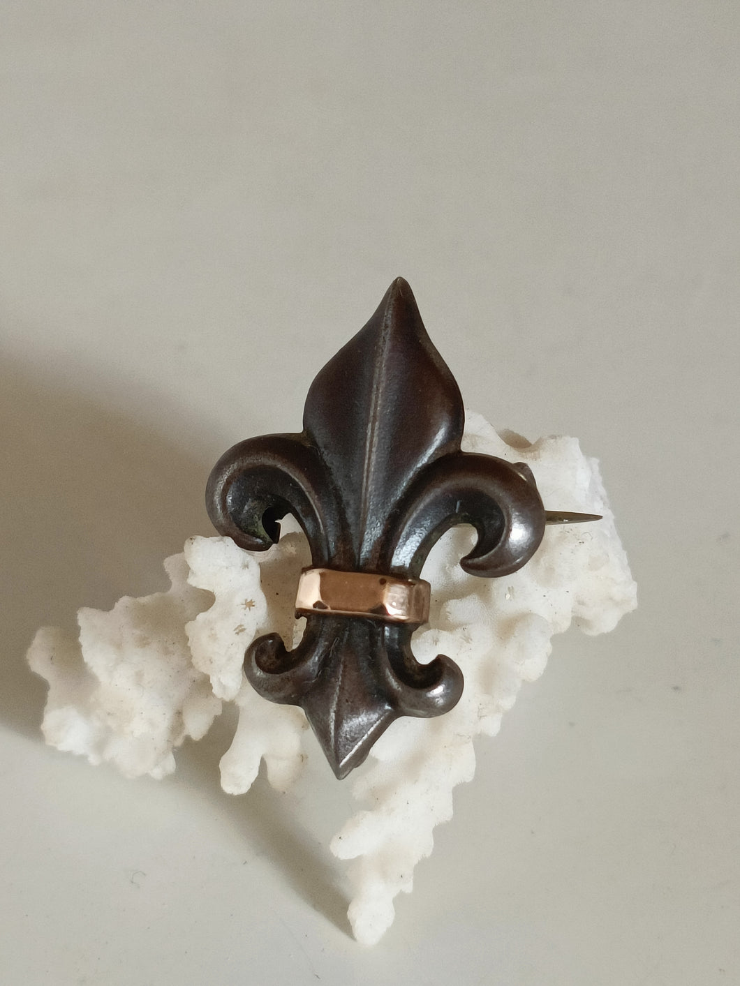 Broche fleur de lys argent noirci et doré . Début XXÈME