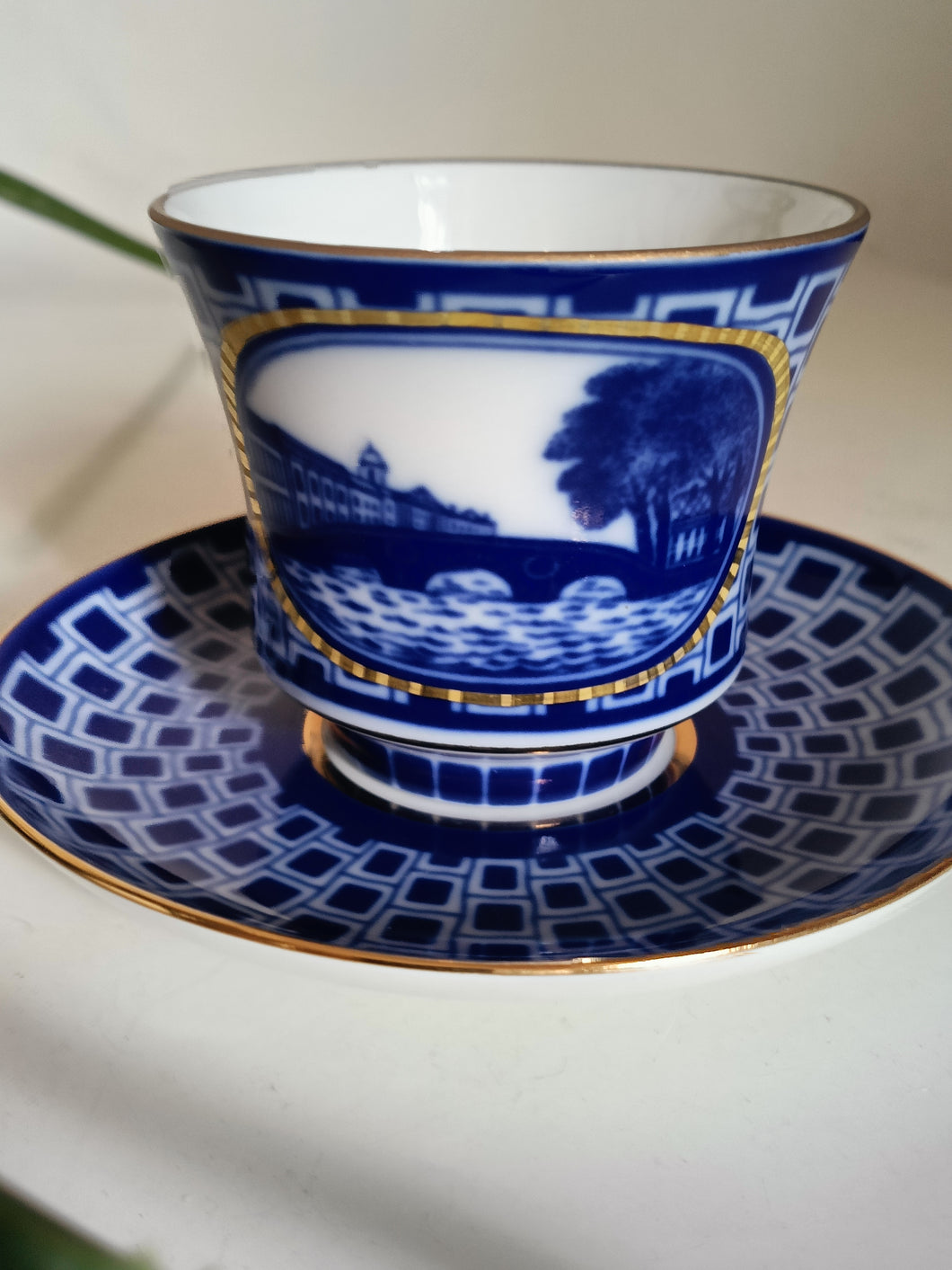 Lomonosov Impérial tasse et sous coupe en porcelaine fine peinte à la main .