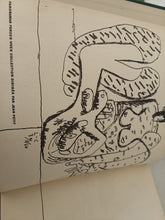 Charger l&#39;image dans la galerie, Le corbusier suite de dessin , éditions panorama forces vives collection 1968
