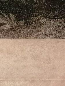 Gravure Original Etienne Fessard 18ème
