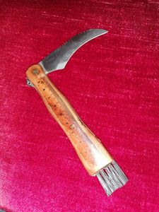 Couteau à champignon
