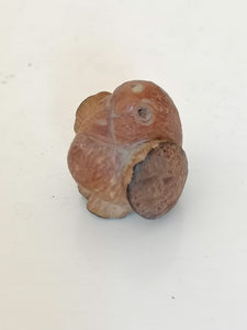 Oiseau sculpté dans une noix.