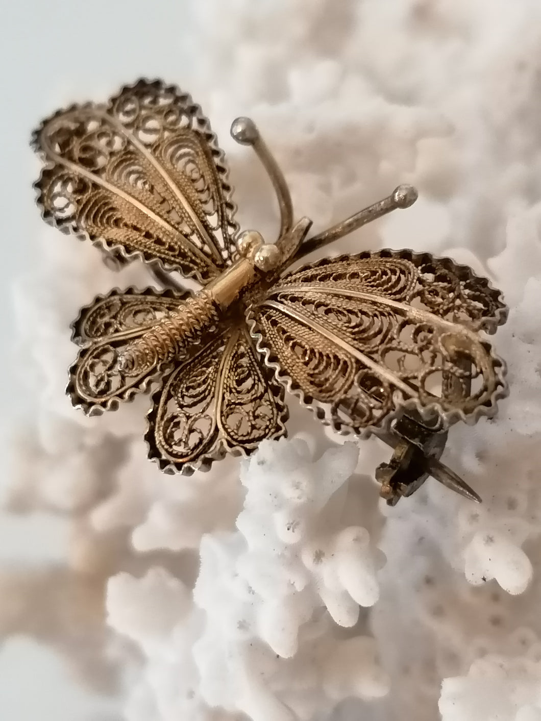 Broche papillon en filigranes d'argent