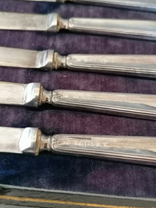6 couteaux Anglais ancien à dessert , manche argent massif  et lame argenté. Avec son écrin d'origine. 