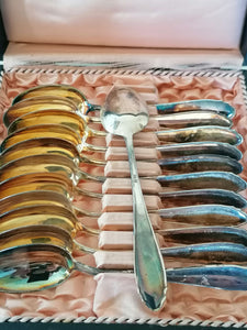 Série de 12 cuillères à dessert en argent massif Jezler. Avec son coffret. 