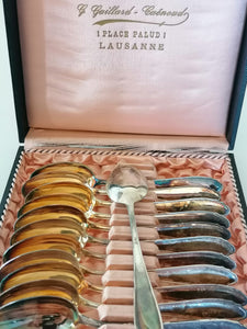 Série de 12 cuillères à dessert en argent massif Jezler. Avec son coffret. 