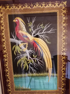 Oiseau du paradis, broderie fine, probablement des atelier de Shams Agra Inde. Très fin travaille XXème .