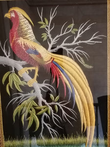 Oiseau du paradis, broderie fine, probablement des atelier de Shams Agra Inde. Très fin travaille XXème .