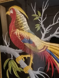 Oiseau du paradis, broderie fine, probablement des atelier de Shams Agra Inde. Très fin travaille XXème .