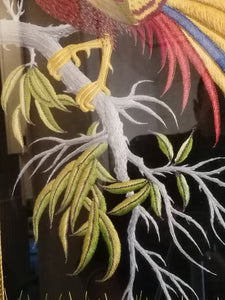 Oiseau du paradis, broderie fine, probablement des atelier de Shams Agra Inde. Très fin travaille XXème .