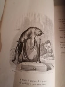 Fable de florian nouvelle édition fin XIXe  79 planches.