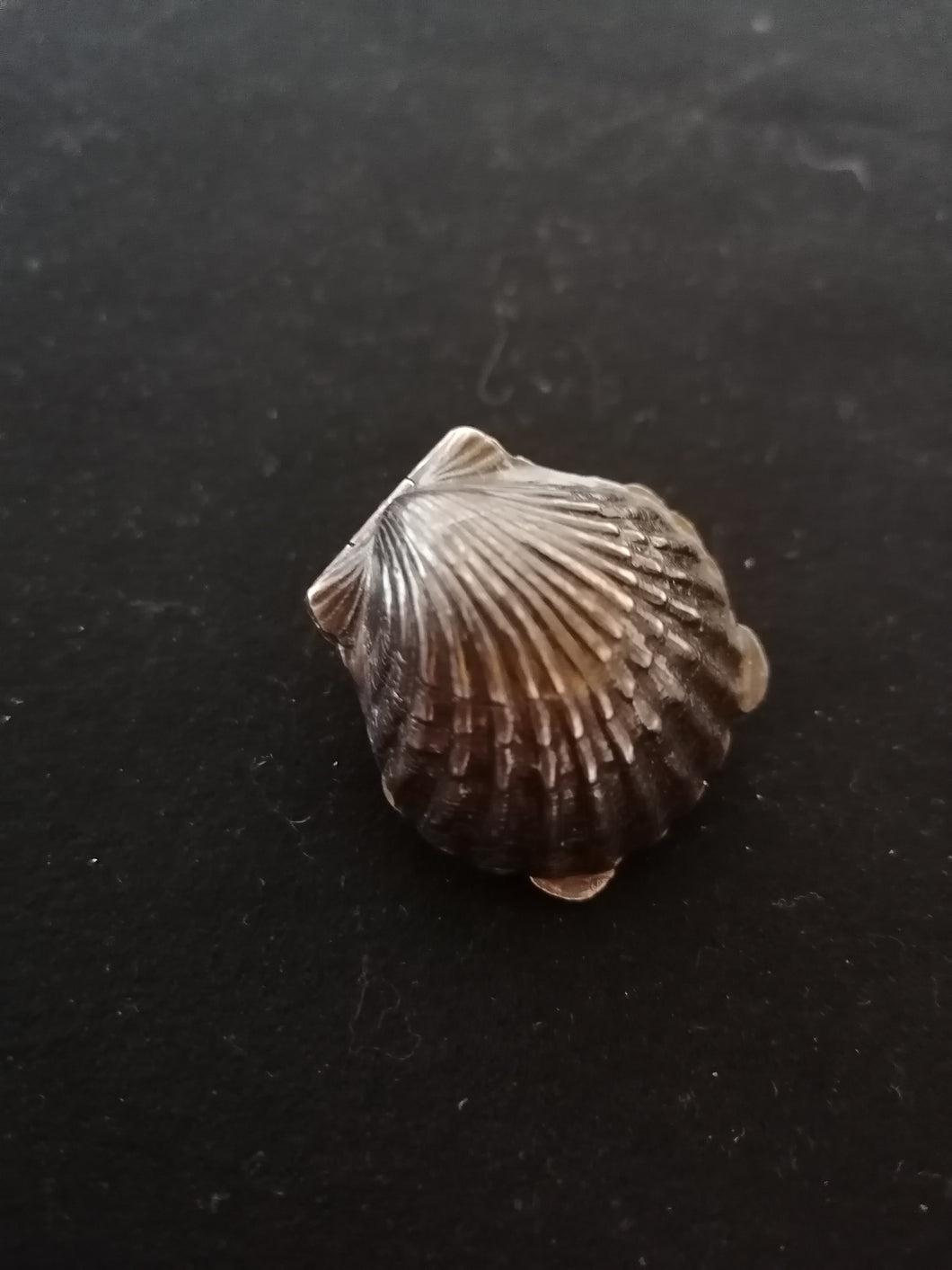 Boîte à pilule en forme de coquillage, argent de belle manufacture