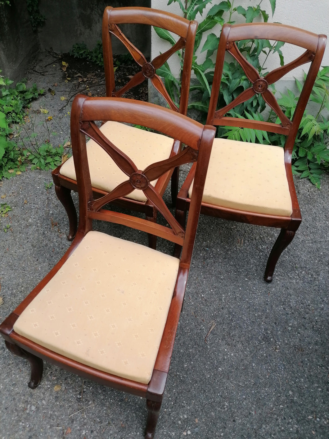 Série de 6 chaises Charle X en acajou massif.