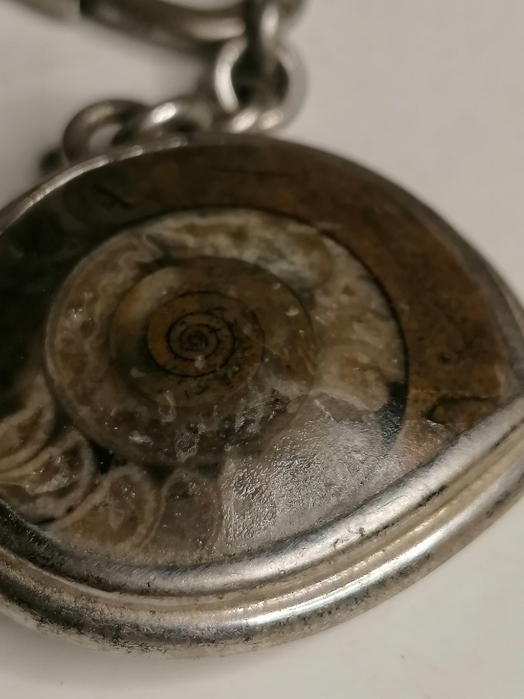 Porte clé ammonite monture argent