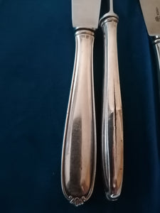 Jezler modèle princesse, série de 5 couteaux manche argent et lame inox. 