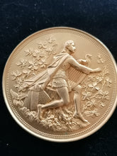 Charger l&#39;image dans la galerie, Médaille bronze doré Baden Musique 1908
