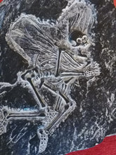 Charger l&#39;image dans la galerie, Squelette fée, création studio Design Moran
