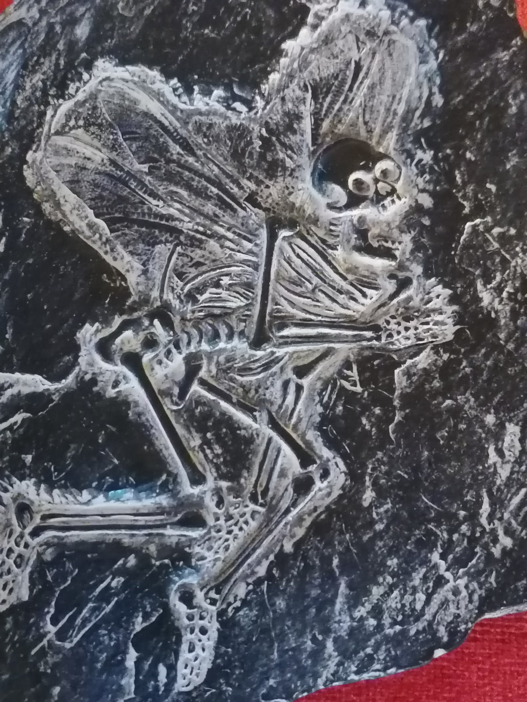 Squelette fée, création studio Design Moran