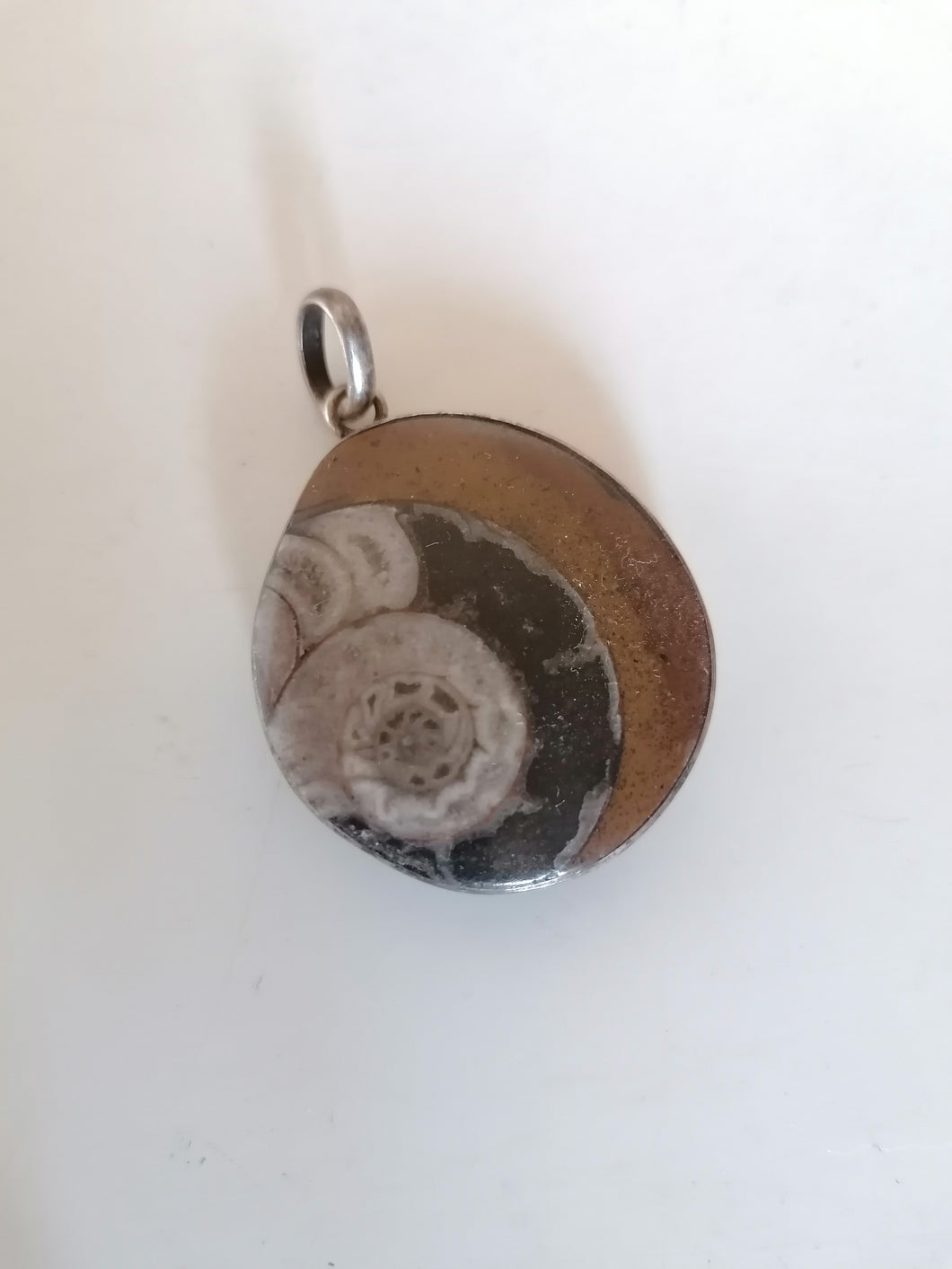 Pendentif amonnite avec monture en argent massif. 