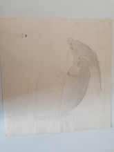Charger l&#39;image dans la galerie, KOSON Ohara, dit aussi SHOSON ou HOSON gravure original paire de carpes parfait état. 
