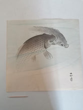 Charger l&#39;image dans la galerie, KOSON Ohara, dit aussi SHOSON ou HOSON gravure original paire de carpes parfait état. 
